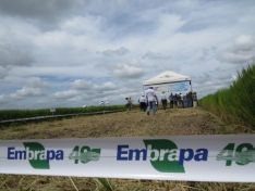 Fita para Isolamento de Área Personalizada - FOTO 2